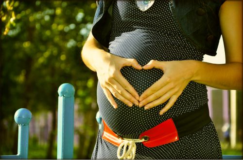 Menu Makanan Diet Ibu Hamil yang Wajib Dikonsumsi Menu Makanan Diet Ibu Hamil yang Wajib Dikonsumsi