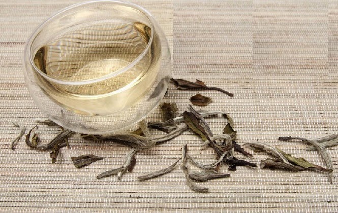 Mengapa Teh Putih Bisa Menurunkan Berat Badan Mengapa Teh Putih Bisa Menurunkan Berat Badan